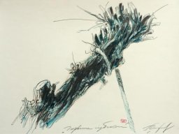 Celestial Roots XIII 50x70 cm