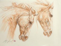 Set free X 50x70 cm