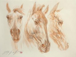 Set free XI 50x70 cm