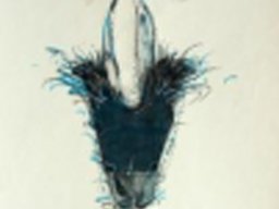 Living Signs X 70x50 cm