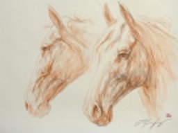 Set free XII 50x70 cm