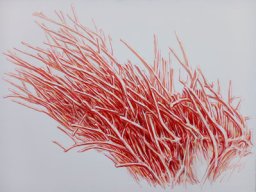 North wind 90x120 cm