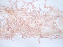 A-Waterside Part 2 70x500 cm