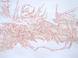 A-Waterside Part 3 70x500 cm